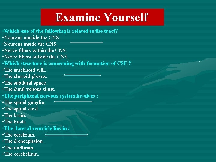 Examine Yourself • Which one of the following is related to the tract? •