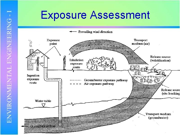 Exposure Assessment 