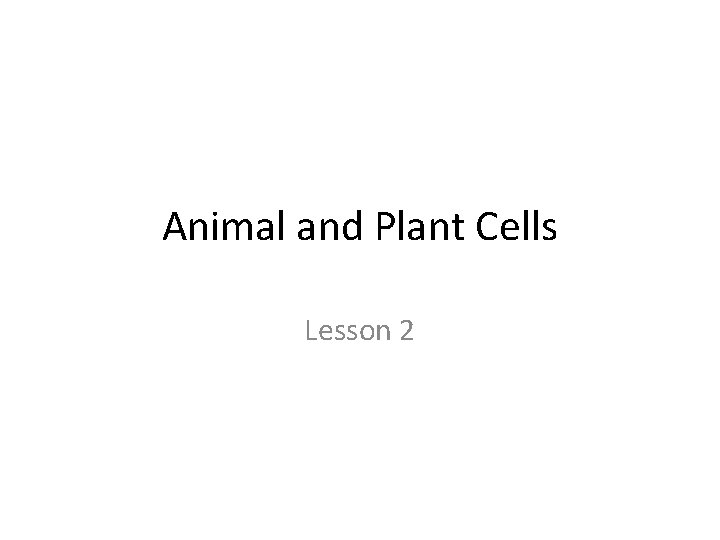 Animal and Plant Cells Lesson 2 