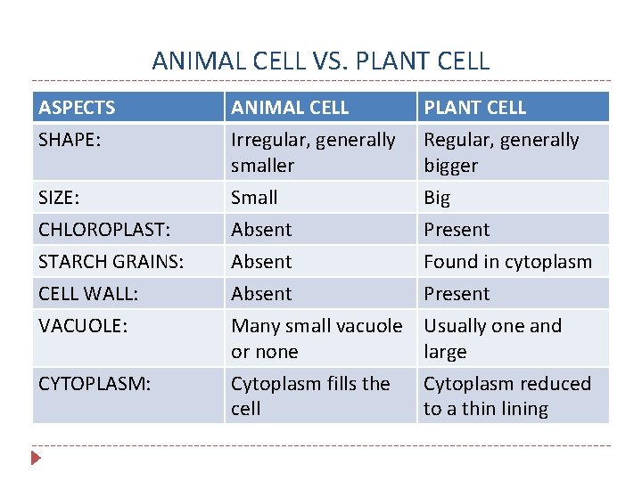 ANIMAL CELL VS. PLANT CELL ASPECTS SHAPE: ANIMAL CELL Irregular, generally smaller PLANT CELL