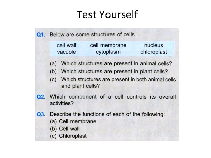 Test Yourself 