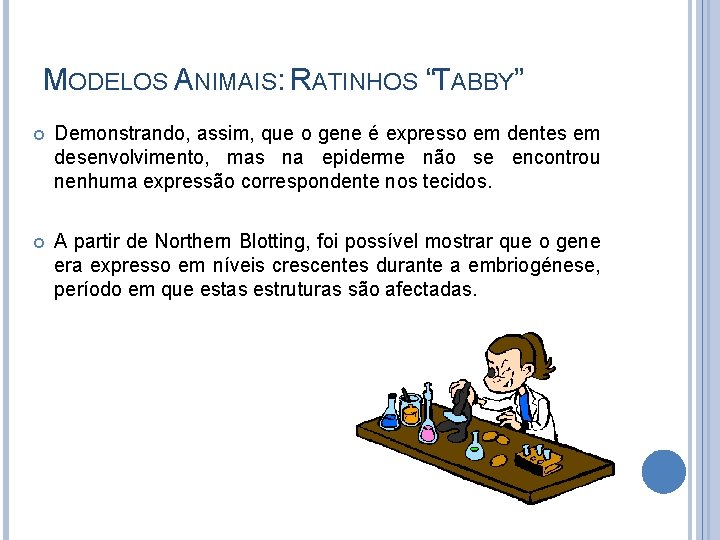 MODELOS ANIMAIS: RATINHOS “TABBY” Demonstrando, assim, que o gene é expresso em dentes em