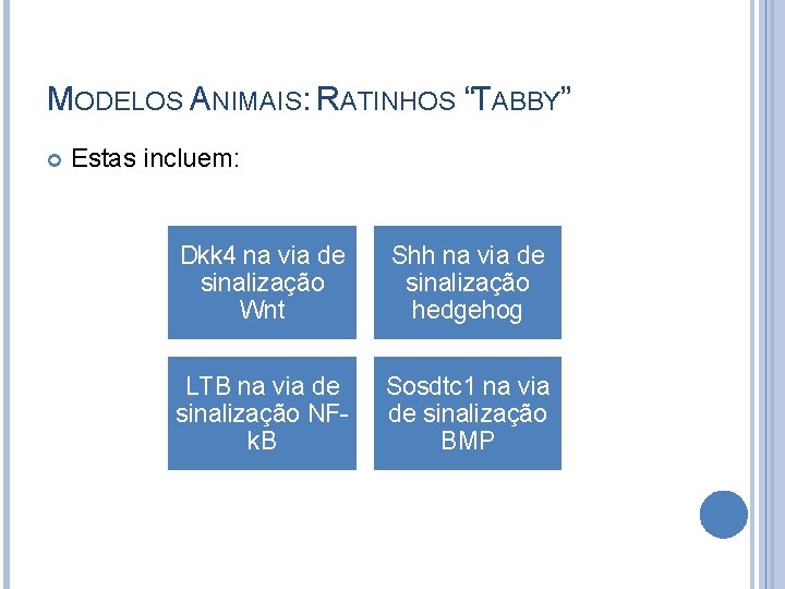 MODELOS ANIMAIS: RATINHOS “TABBY” Estas incluem: Dkk 4 na via de sinalização Wnt Shh