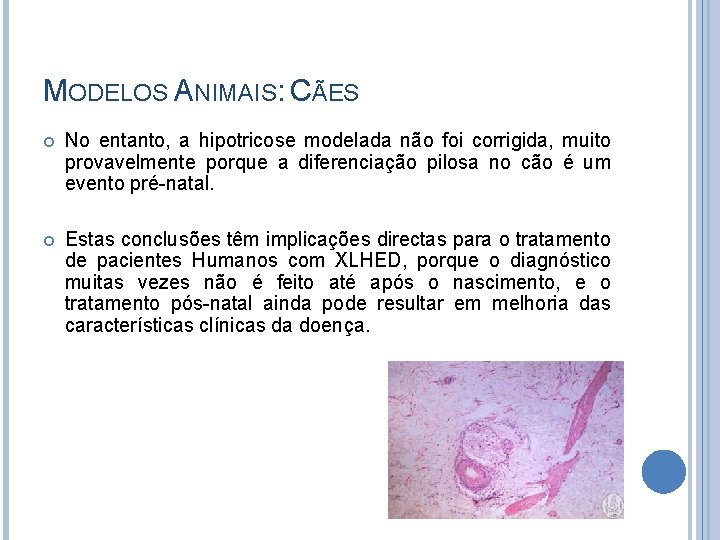 MODELOS ANIMAIS: CÃES No entanto, a hipotricose modelada não foi corrigida, muito provavelmente porque