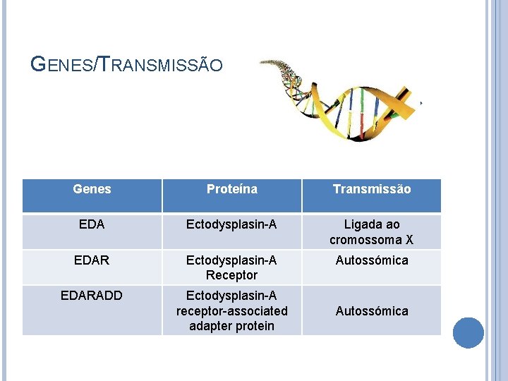 GENES/TRANSMISSÃO Genes Proteína Transmissão EDA Ectodysplasin-A Ligada ao cromossoma X EDAR Ectodysplasin-A Receptor Autossómica