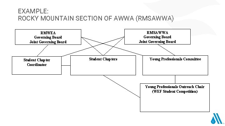 EXAMPLE: ROCKY MOUNTAIN SECTION OF AWWA (RMSAWWA) RMSAWWA Governing Board Joint Governing Board RMWEA