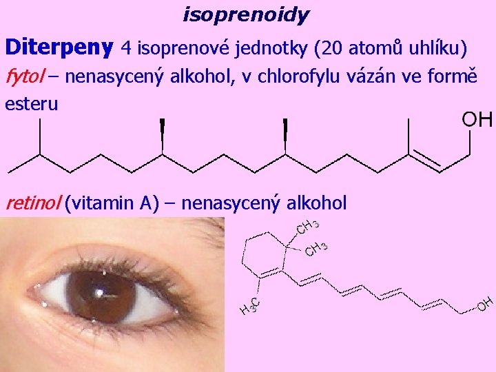 isoprenoidy Diterpeny 4 isoprenové jednotky (20 atomů uhlíku) fytol – nenasycený alkohol, v chlorofylu