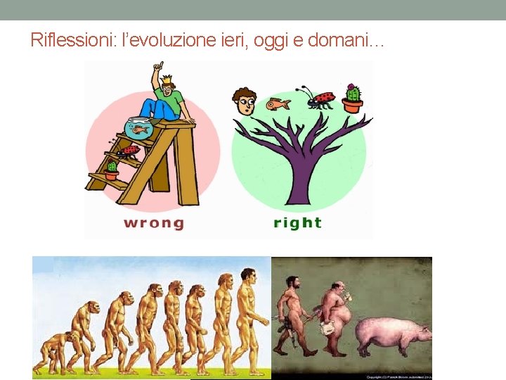 Riflessioni: l’evoluzione ieri, oggi e domani… 