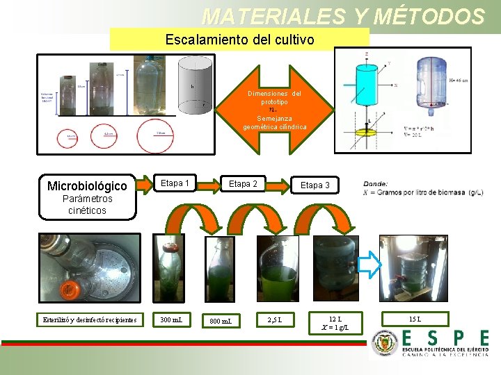 MATERIALES Y MÉTODOS Escalamiento del cultivo Dimensiones del prototipo Semejanza geométrica cilíndrica Microbiológico Etapa