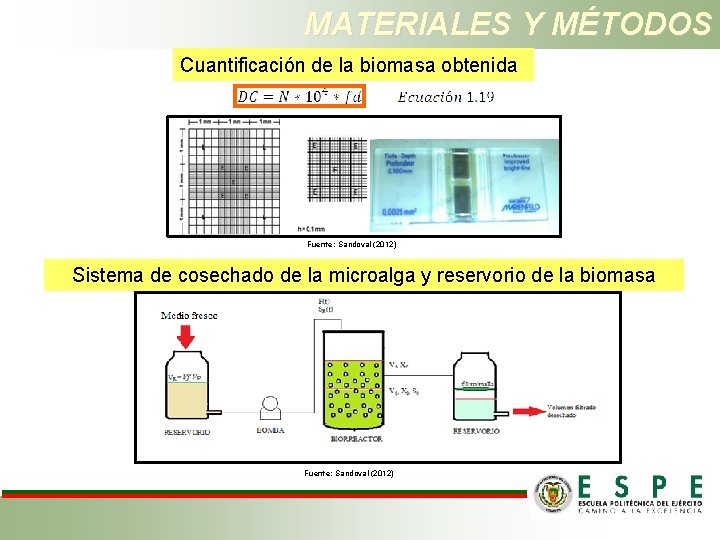 MATERIALES Y MÉTODOS Cuantificación de la biomasa obtenida Fuente: Sandoval (2012) Sistema de cosechado