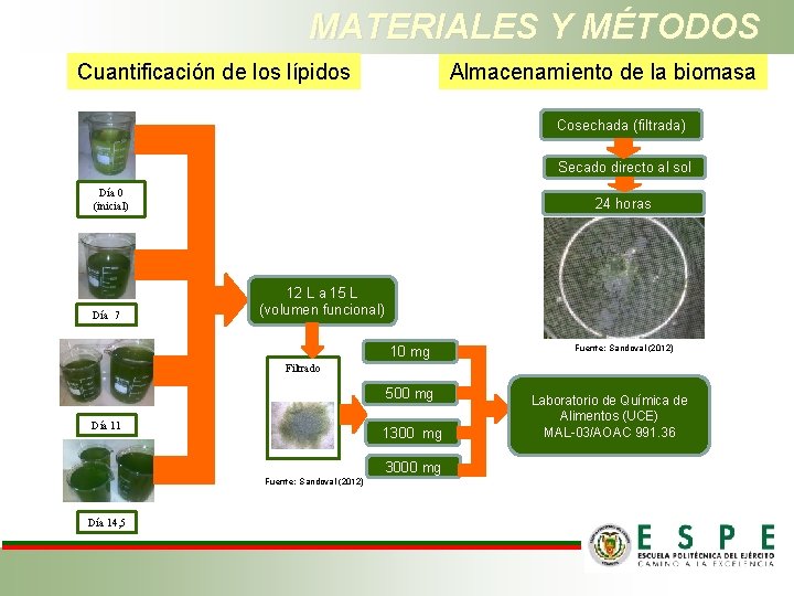 MATERIALES Y MÉTODOS Cuantificación de los lípidos Almacenamiento de la biomasa Cosechada (filtrada) Secado