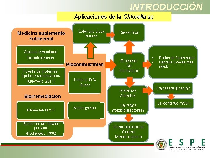 INTRODUCCIÓN Aplicaciones de la Chlorella sp Medicina suplemento nutricional Extensas áreas terreno Diésel fósil