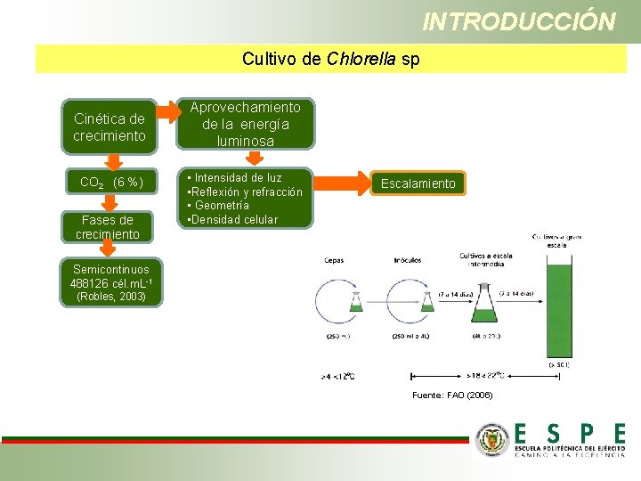 INTRODUCCIÓN Cultivo de Chlorella sp Cinética de crecimiento CO 2 (6 %) Fases de