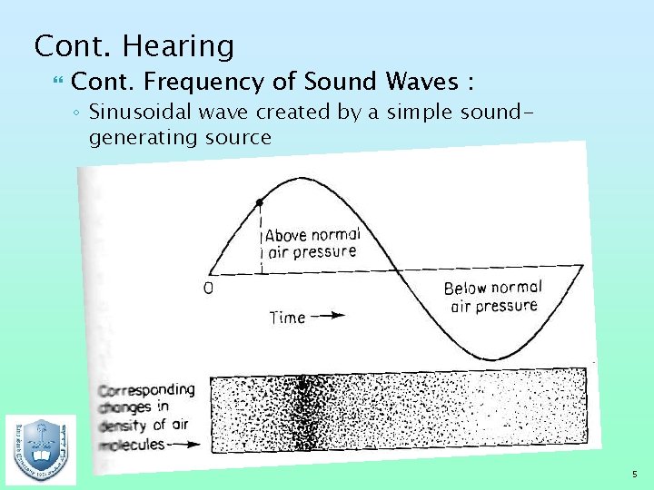 Cont. Hearing Cont. Frequency of Sound Waves : ◦ Sinusoidal wave created by a