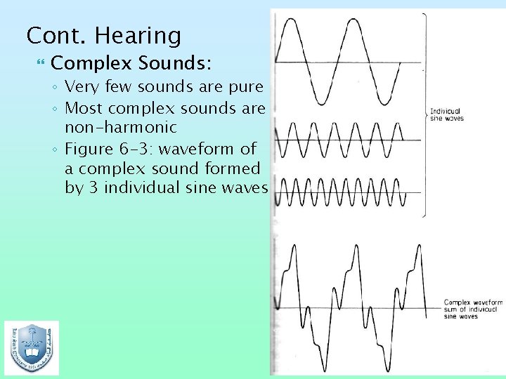 Cont. Hearing Complex Sounds: ◦ Very few sounds are pure ◦ Most complex sounds