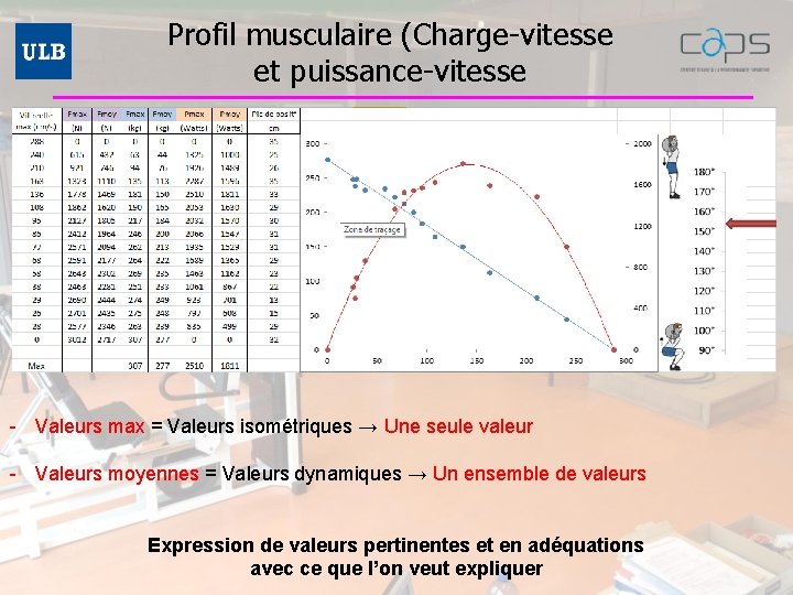 Profil musculaire (Charge-vitesse et puissance-vitesse - Valeurs max = Valeurs isométriques → Une seule