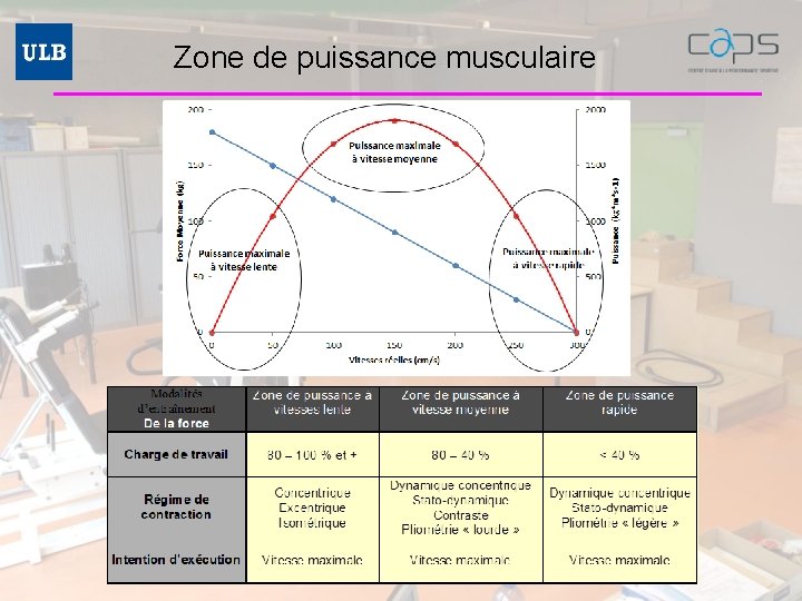 Zone de puissance musculaire 