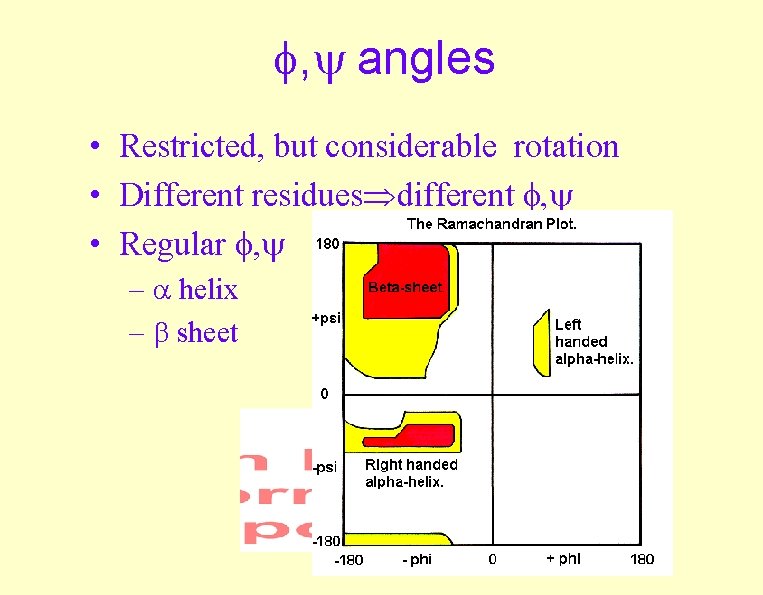  , angles • Restricted, but considerable rotation • Different residues different , •