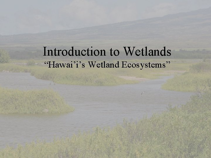 Introduction to Wetlands “Hawai’i’s Wetland Ecosystems” 