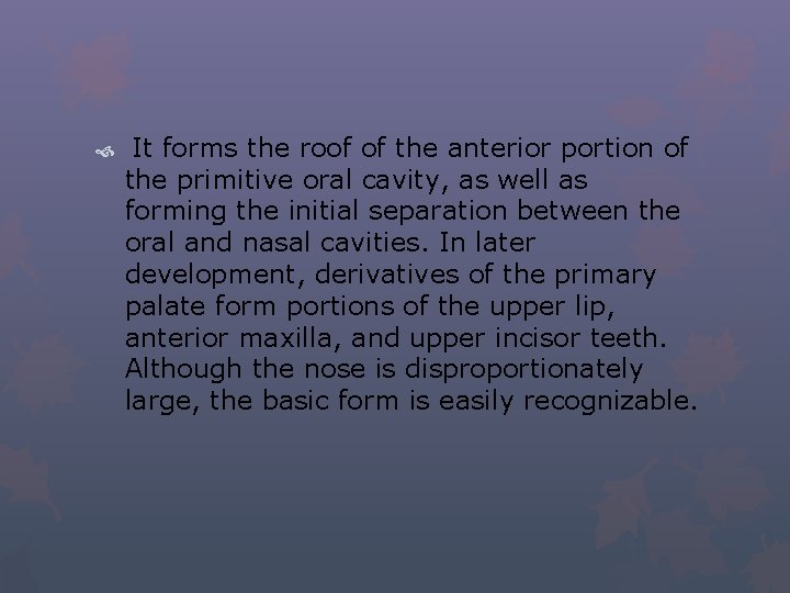  It forms the roof of the anterior portion of the primitive oral cavity,