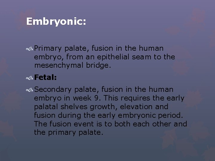 Embryonic: Primary palate, fusion in the human embryo, from an epithelial seam to the