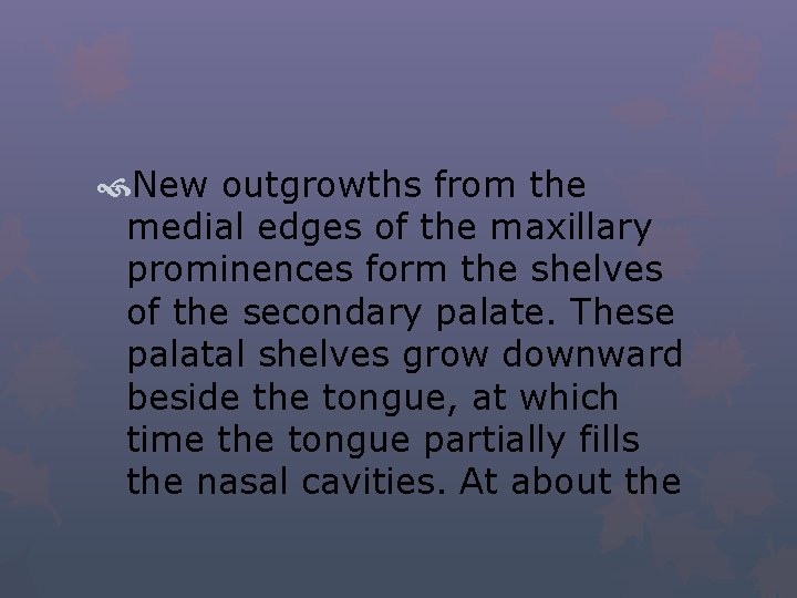  New outgrowths from the medial edges of the maxillary prominences form the shelves