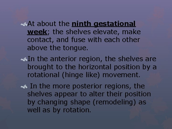  At about the ninth gestational week; the shelves elevate, make contact, and fuse