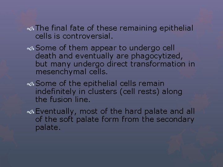  The final fate of these remaining epithelial cells is controversial. Some of them