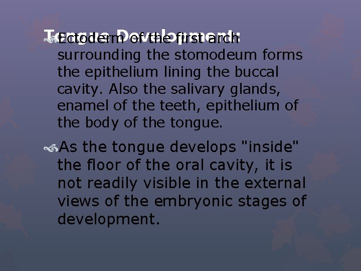 Tongue Development: Ectoderm of the first arch surrounding the stomodeum forms the epithelium lining