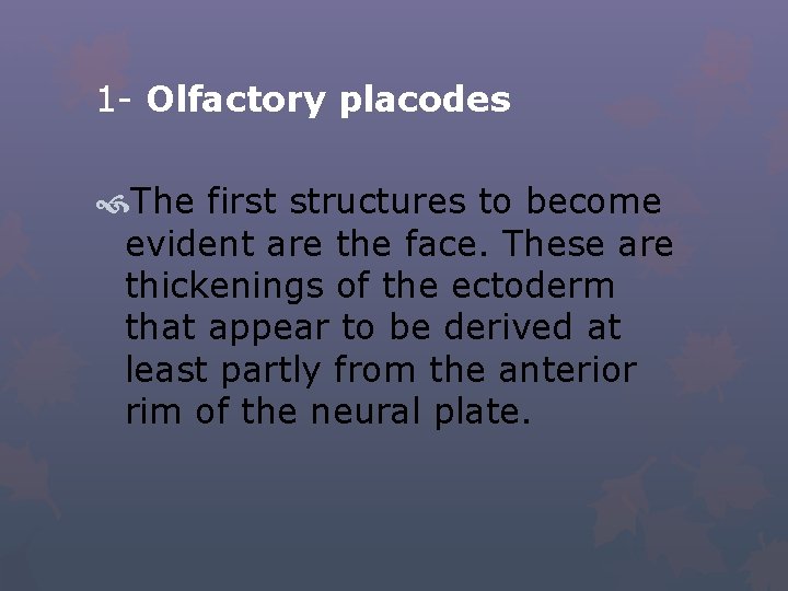 1 - Olfactory placodes The first structures to become evident are the face. These