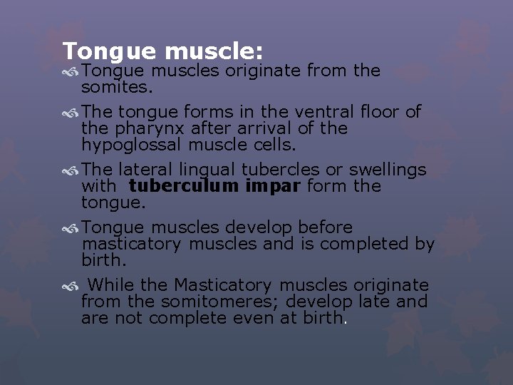 Tongue muscle: Tongue muscles originate from the somites. The tongue forms in the ventral