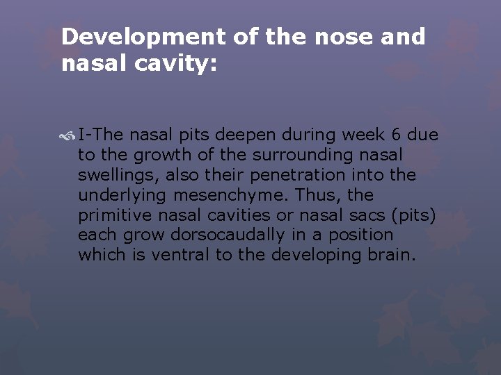 Development of the nose and nasal cavity: I-The nasal pits deepen during week 6