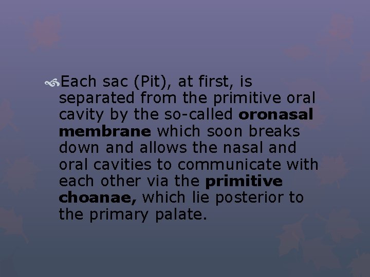  Each sac (Pit), at first, is separated from the primitive oral cavity by