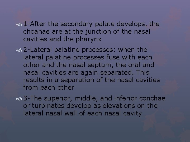  1 -After the secondary palate develops, the choanae are at the junction of