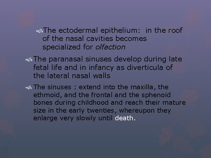  The ectodermal epithelium: in the roof of the nasal cavities becomes specialized for