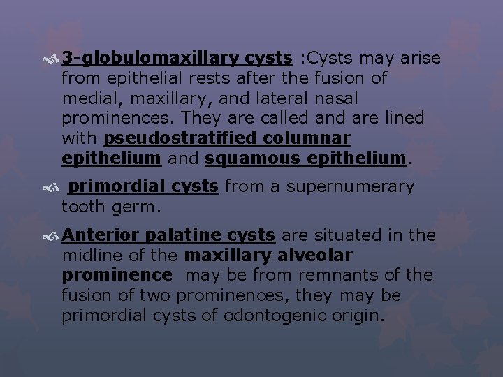  3 -globulomaxillary cysts : Cysts may arise from epithelial rests after the fusion