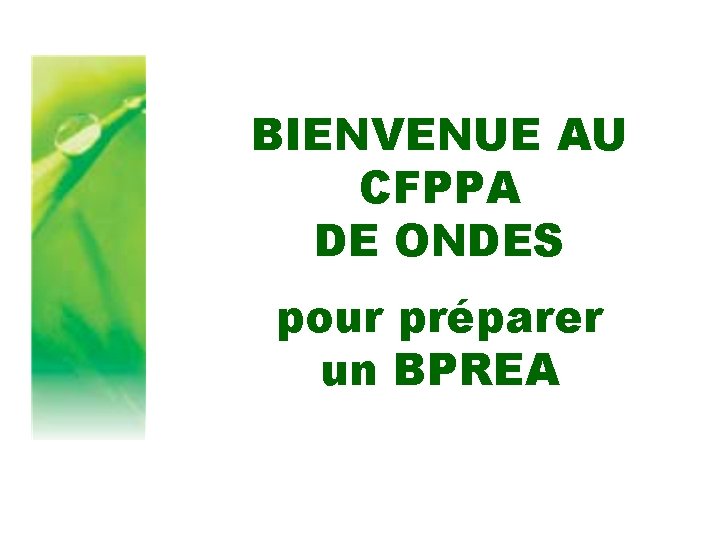 BIENVENUE AU CFPPA DE ONDES pour préparer un BPREA 