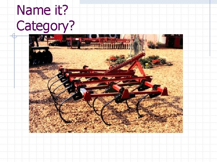 Name it? Category? 