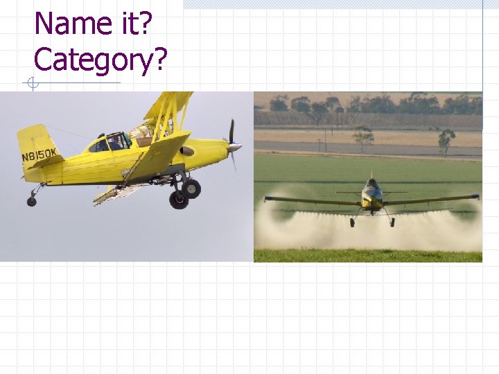 Name it? Category? 
