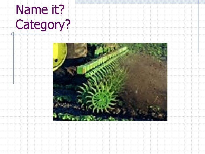 Name it? Category? 
