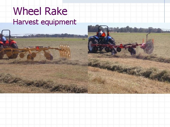 Wheel Rake Harvest equipment 