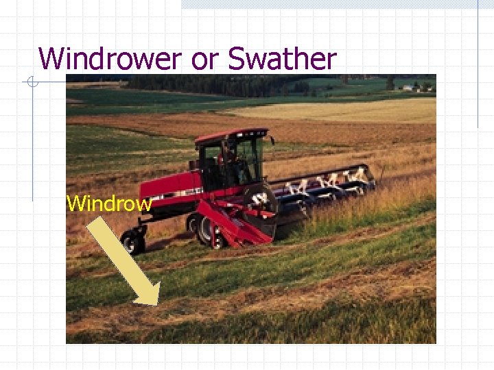 Windrower or Swather Windrow 