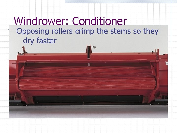 Windrower: Conditioner Opposing rollers crimp the stems so they dry faster 
