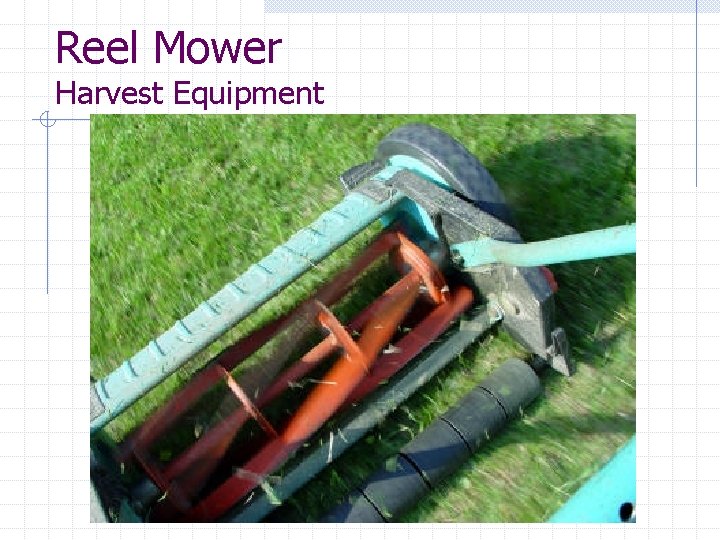 Reel Mower Harvest Equipment 