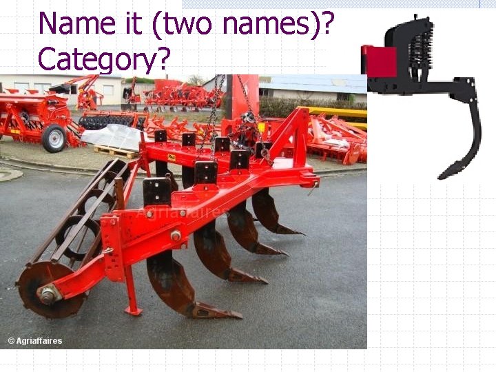 Name it (two names)? Category? 