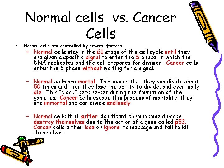 Normal cells vs. Cancer Cells • Normal cells are controlled by several factors. –