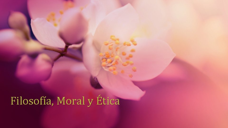 Filosofía, Moral y Ética 
