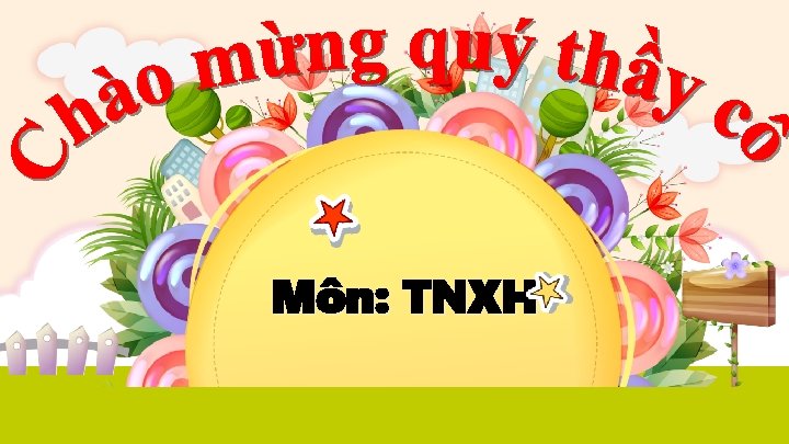 Môn: TNXH 