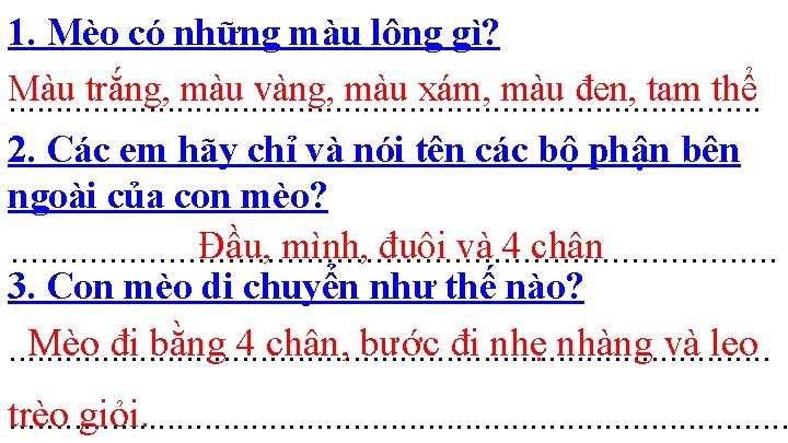 1. Mèo có những màu lông gì? Màu trắng, màu vàng, màu xám, màu