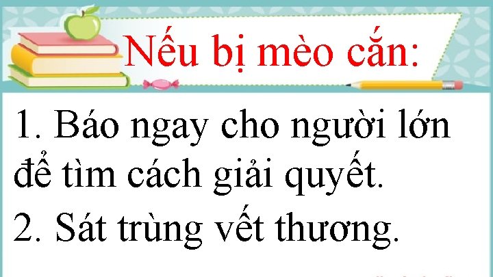 Nếu bị mèo cắn: 1. Báo ngay cho người lớn để tìm cách giải
